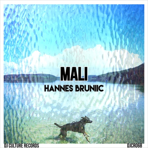 Hannes Bruniic-Mali