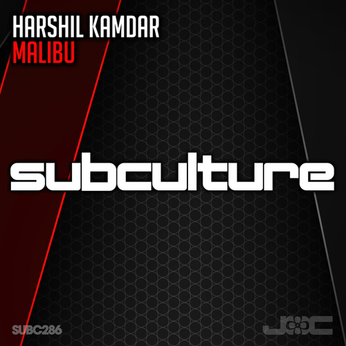 Harshil Kamdar-Malibu