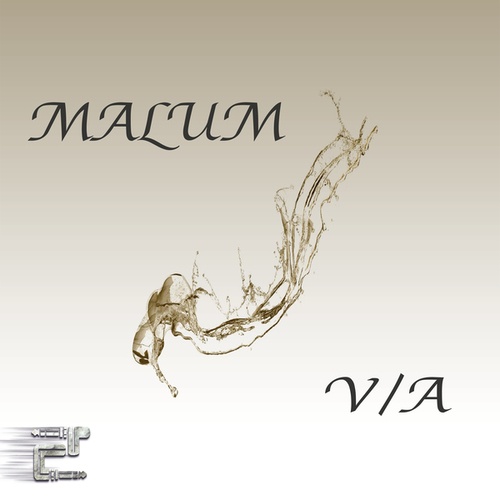 Various Artists-Malum V/A