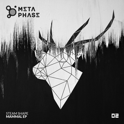 Steam Shape, David Temessi-Mammal Ep