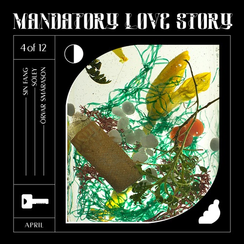 Mandatory Love Story