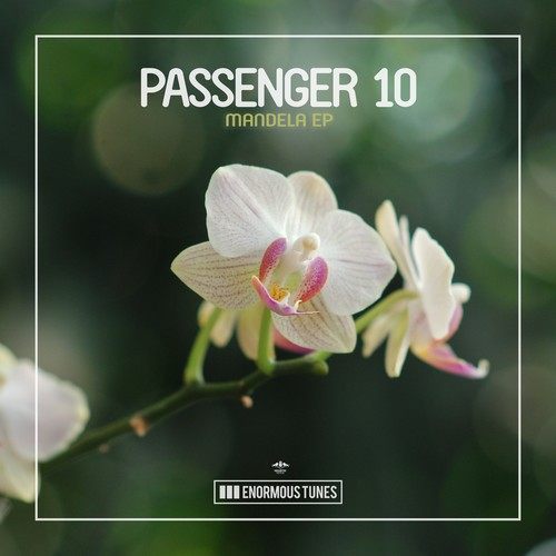 Passenger 10-Mandela