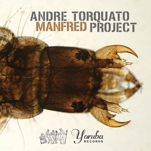 Andre Torquato Project, Ale Reis-Manfred