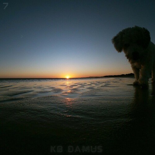 KB DAMUS-Mansa Sunset