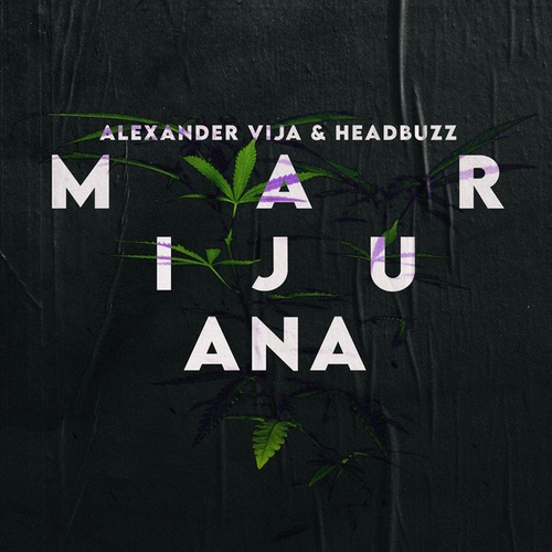 Alexander Vija, Headbuzz-Marijuana