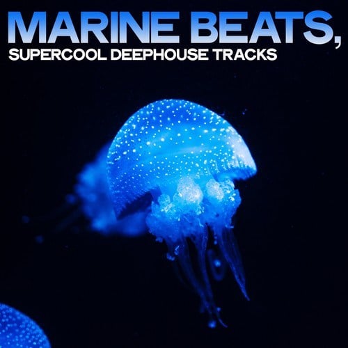 Various Artists-Marine Beats