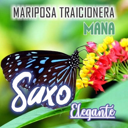 Mariposa Traicionera