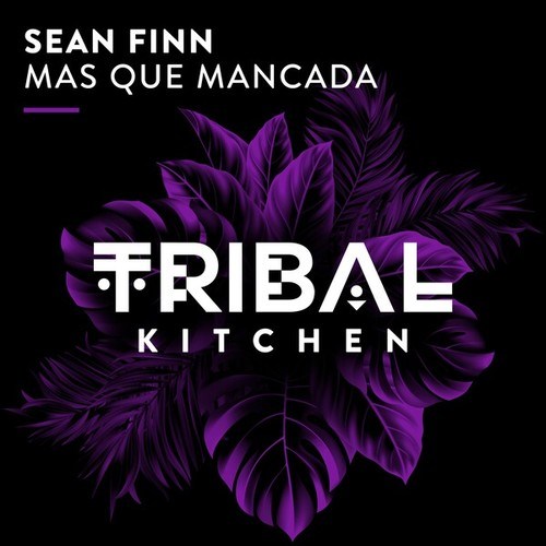 Sean Finn-Mas Que Mancada (Extended Mix)