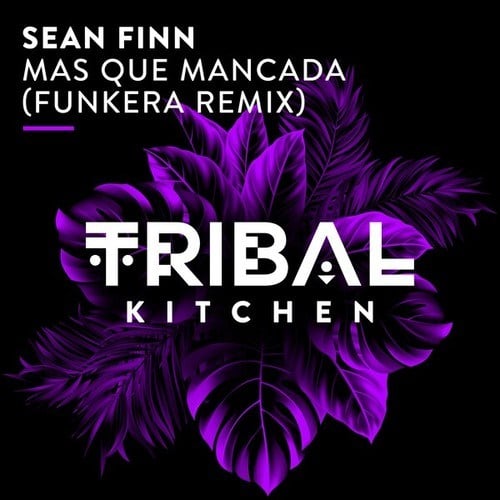 Sean Finn, Funkera-Mas Que Mancada (Funkera Extended Remix)