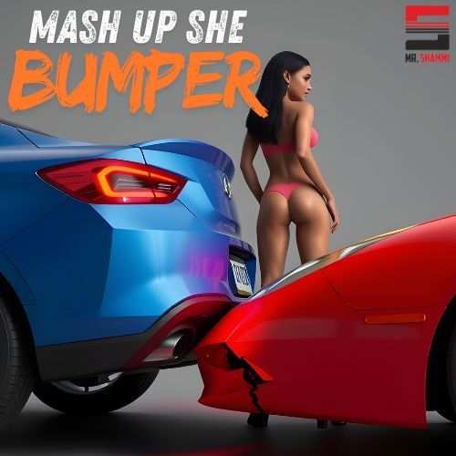 Mr. Shammi-Mash Up She Bumper