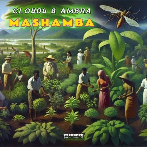 Mashamba