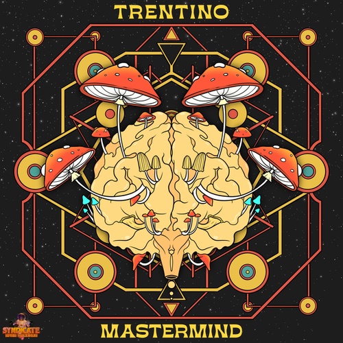 Trentino-Mastermind