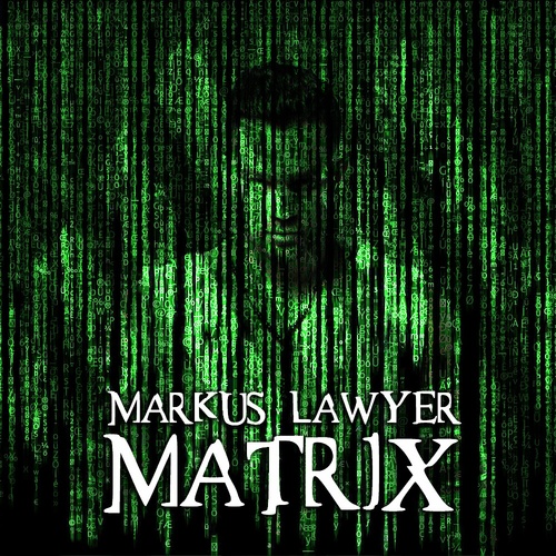 Markus Lawyer-Matrix