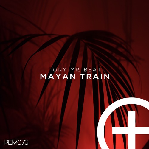 Tony Mr. Beat-Maya Train