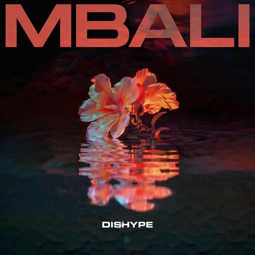 DISHYPE-MBALI