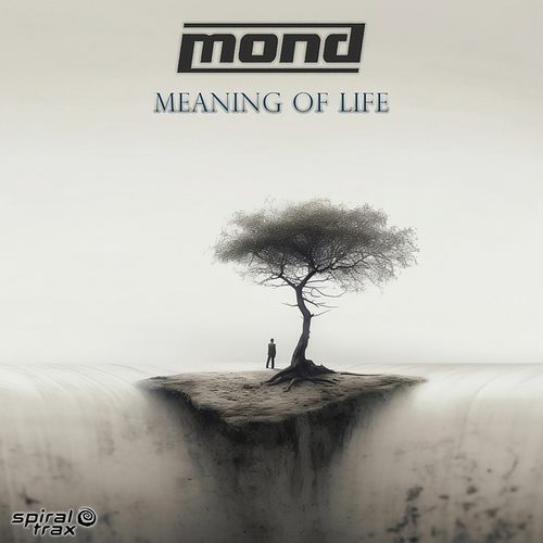 Mond-Meaning Of Life