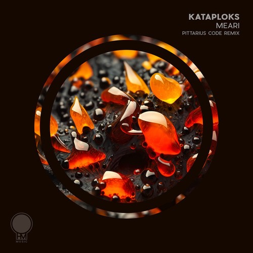 Kataploks, PITTARIUS CODE-Meari (PITTARIUS CODE Remix)