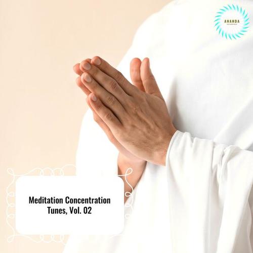 Meditation Concentration Tunes, Vol. 02