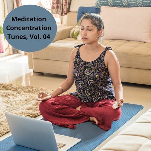 Meditation Concentration Tunes, Vol. 04