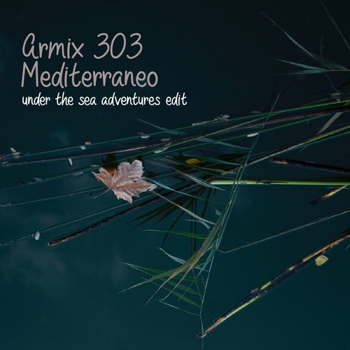 Armix 303-Mediterraneo