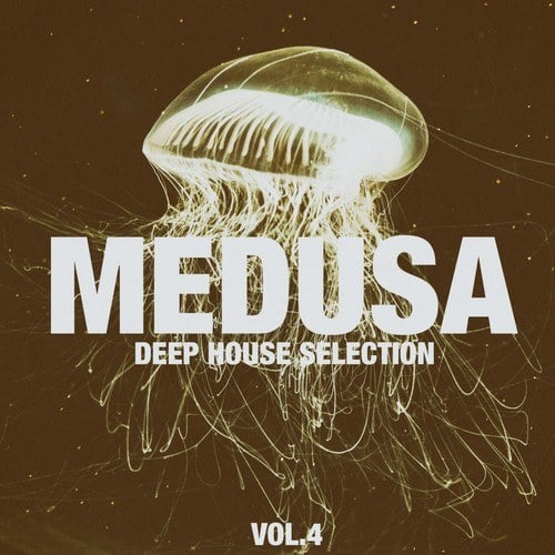 Medusa, Vol. 4