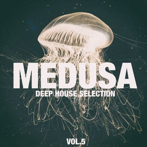 Various Artists-Medusa, Vol. 5