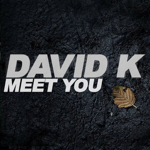 David K, Marcapasos-Meet You (Remixes)