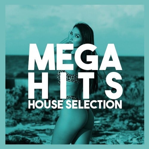 Various Artists-Mega Hits House Selection