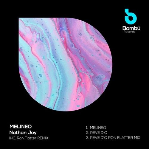 Nathan Joy-Melineo