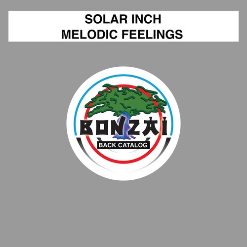 Solar Inch, K. Blank, Sonar, Cosmic System-Melodic Feelings