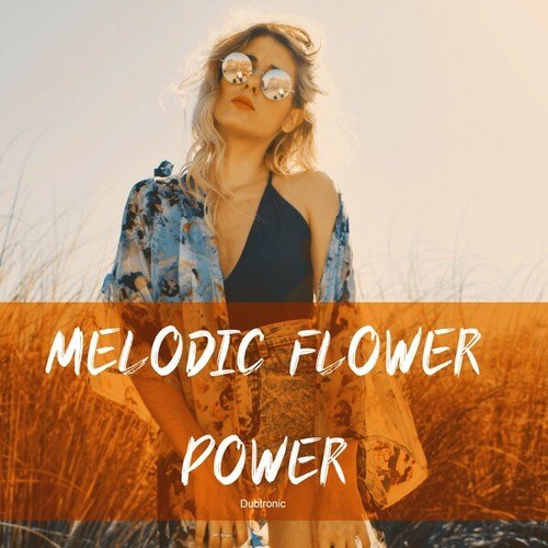 Various Artists-Melodic Flowet Power