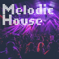 Melodic House Tunes - Ken Rogers