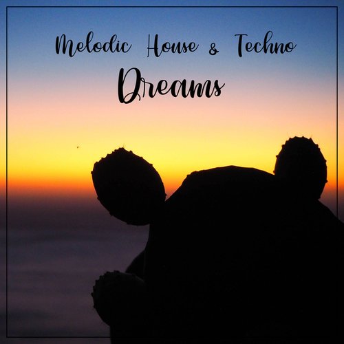 Various Artists-Melodic House & Techno Dreams