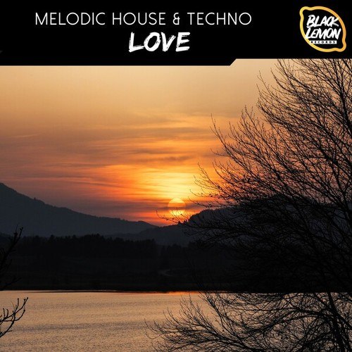 Various Artists-Melodic House & Techno Love