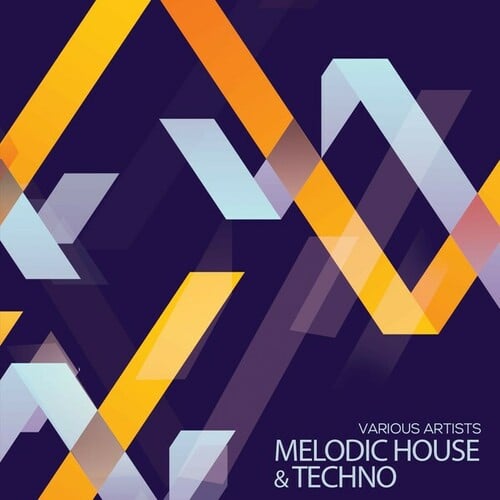 Various Artists-Melodic House & Techno