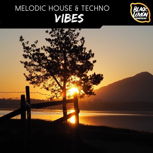 Various Artists-Melodic House & Techno Vibes