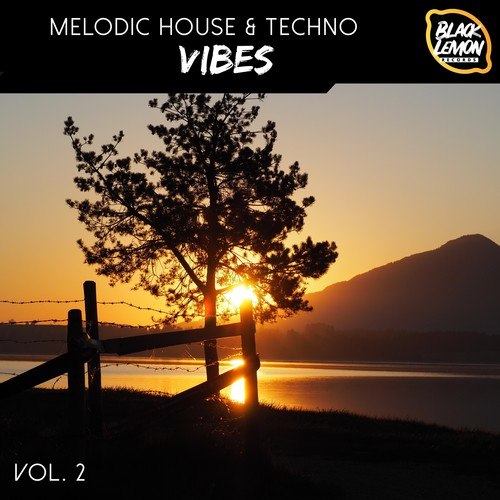 Various Artists-Melodic House & Techno Vibes, Vol. 2