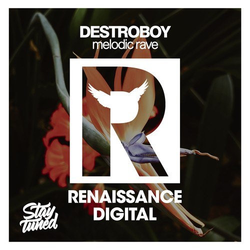 Destroboy-Melodic Rave
