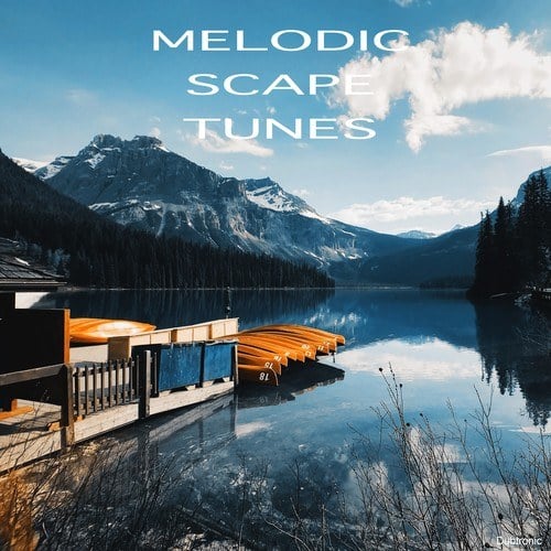 Various Artists-Melodic Scape Tunes