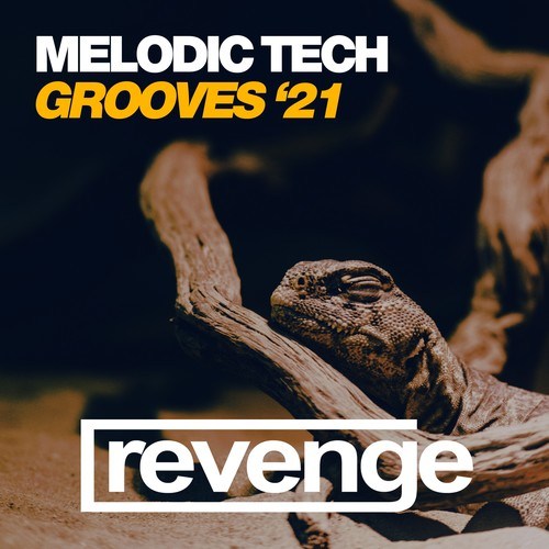 Various Artists-Melodic Tech Grooves '21