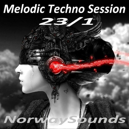 Various Artists-Melodic Techno Session (2023/1)