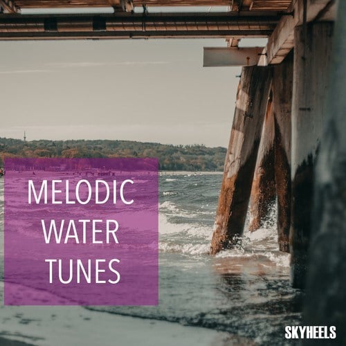 Various Artists-Melodic Water Tunes