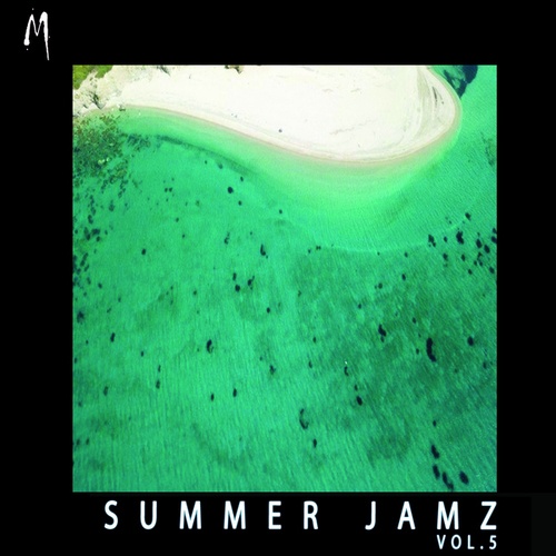 Various Artists-Melodymathics Summer Jamz vol.5