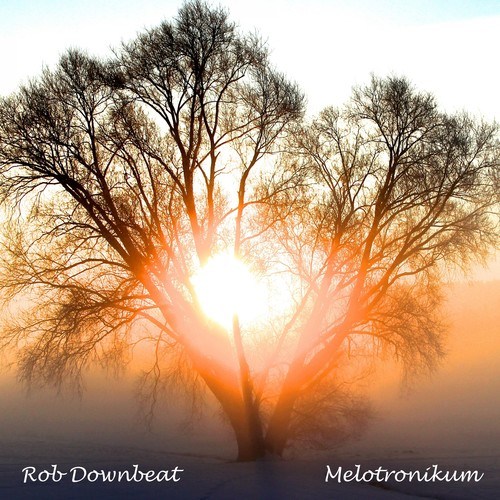 Rob Downbeat-Melotronikum