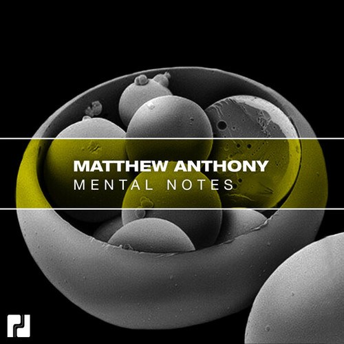 Matthew Anthony-Mental Notes