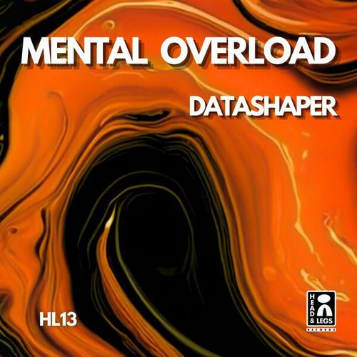 DataShaper-Mental Overload