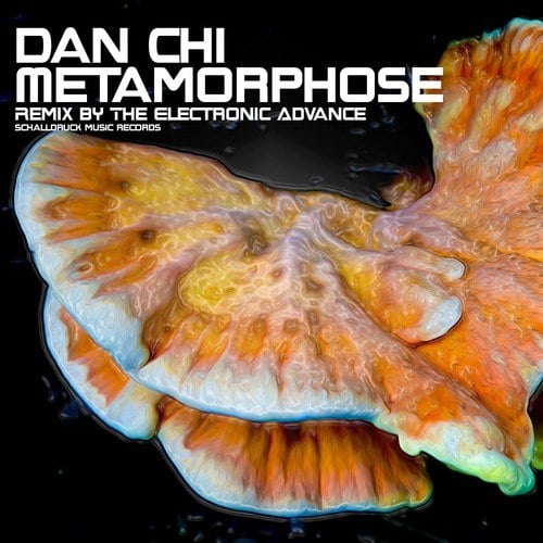 Dan Chi, The Electronic Advance-Metamorphose