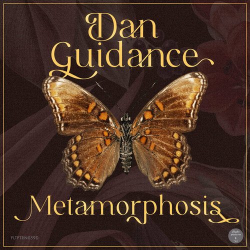 Dan Guidance-Metamorphosis EP