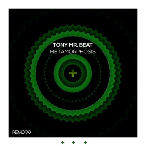 Tony Mr. Beat-Metamorphosis
