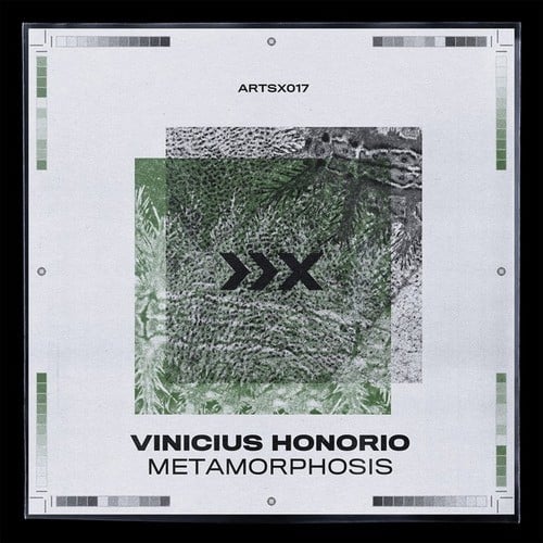 Vinicius Honorio, Duncan Macdonald-Metamorphosis